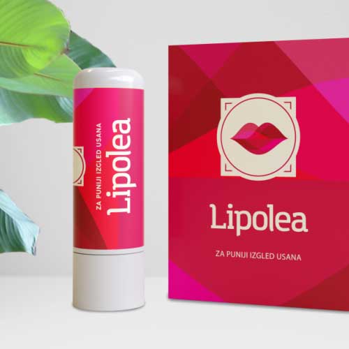 Lipolea